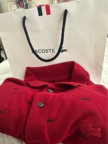 lacoste polo yaka