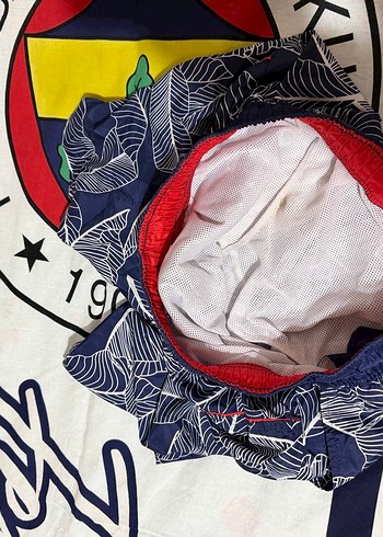 Us Polo Deniz Şortu - Görsel 3