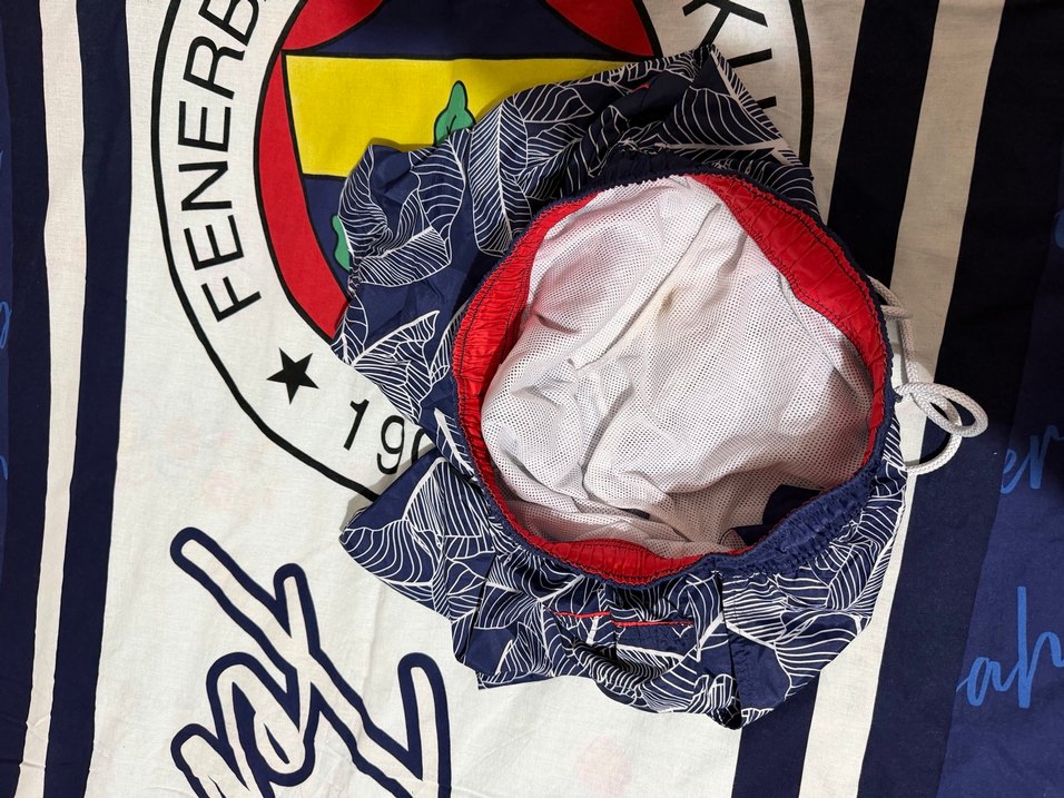 Us Polo Deniz Şortu - Görsel 3