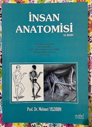 İnsan anatomisi