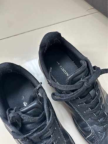Lacoste Lacoste ayakkabı erkek çocuk