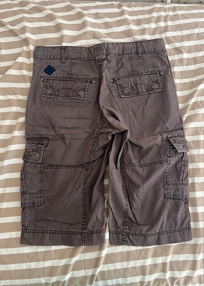 Erkek kahverengi kapri - Görsel 2