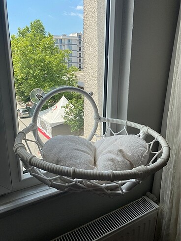 Kedi cam yatağı