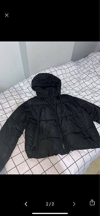 zara mont