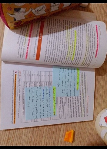 Beden MATERYAL GELİŞTİRME