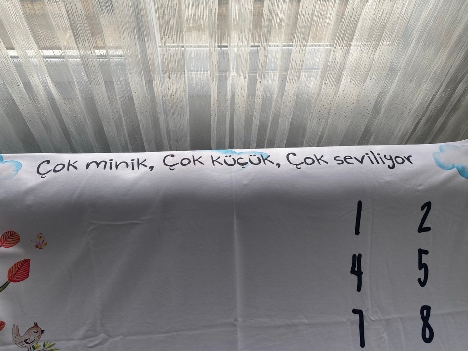 Anı battayesi - Görsel 2