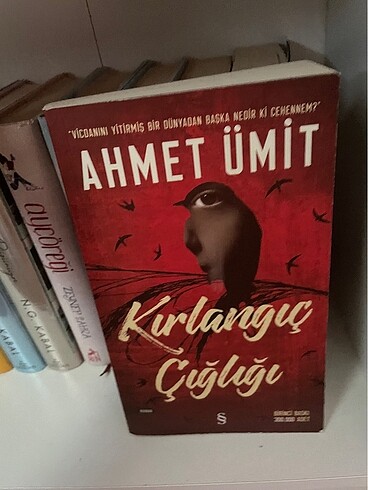 kırlangıç çığlığı