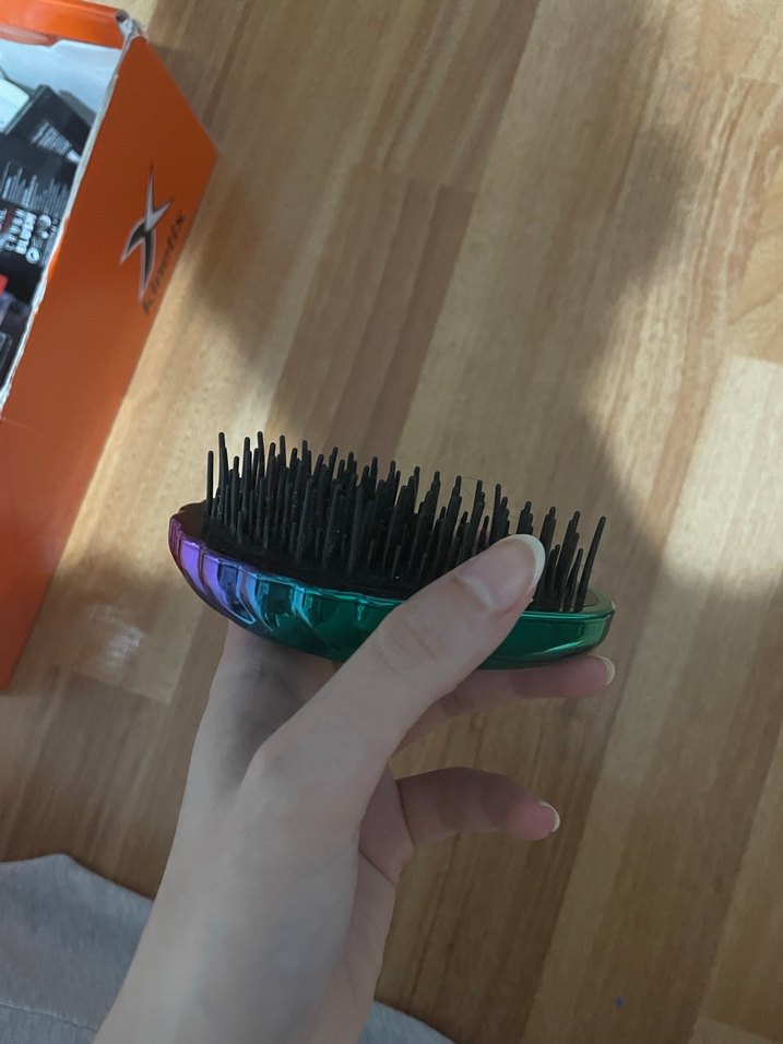 deniz kabuğu tarak - Görsel 2