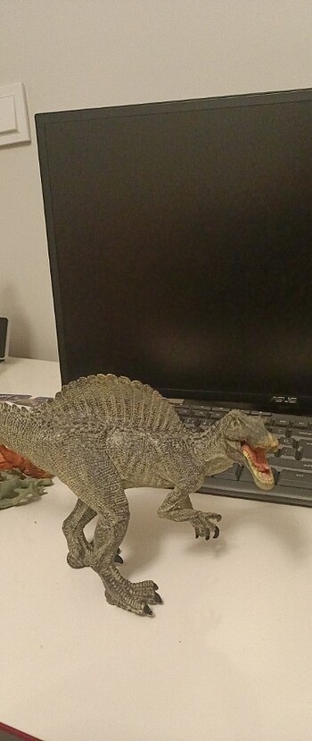  Beden 30 cm spinasaurus figür 