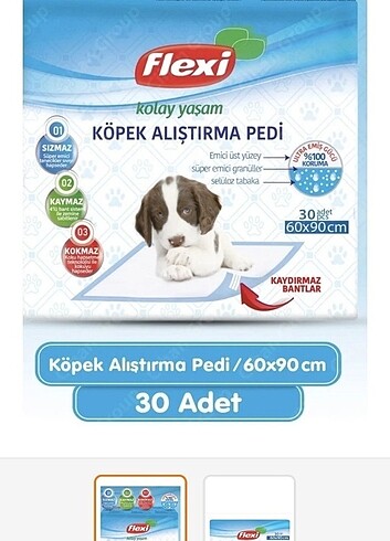 Köpek kedi alıştırma pedi