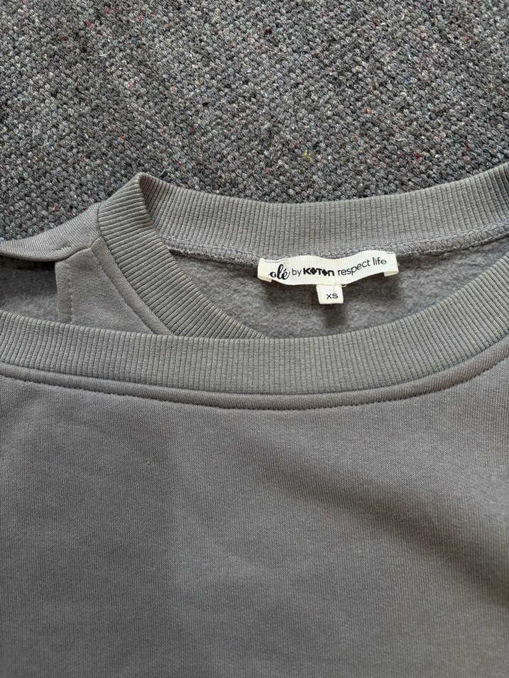 Gri Kadın Sweatshirt, Uzun Kollu, Salaş Kesim - Görsel 5