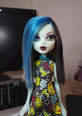 Mattel Monster High Frankie Stein Bebek - Görsel 4