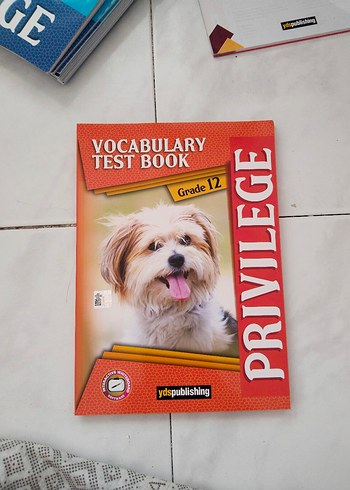 ydt sınava hazırlık kitapları - Görsel 8