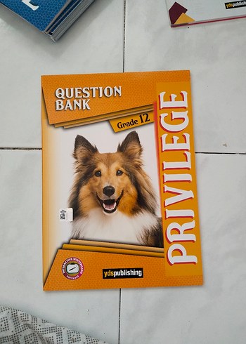 ydt sınava hazırlık kitapları - Görsel 9