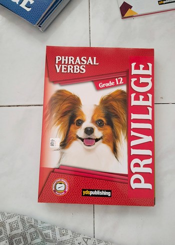 ydt sınava hazırlık kitapları - Görsel 6