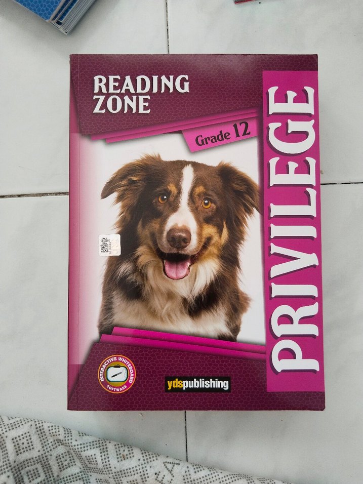 ydt sınava hazırlık kitapları - Görsel 3