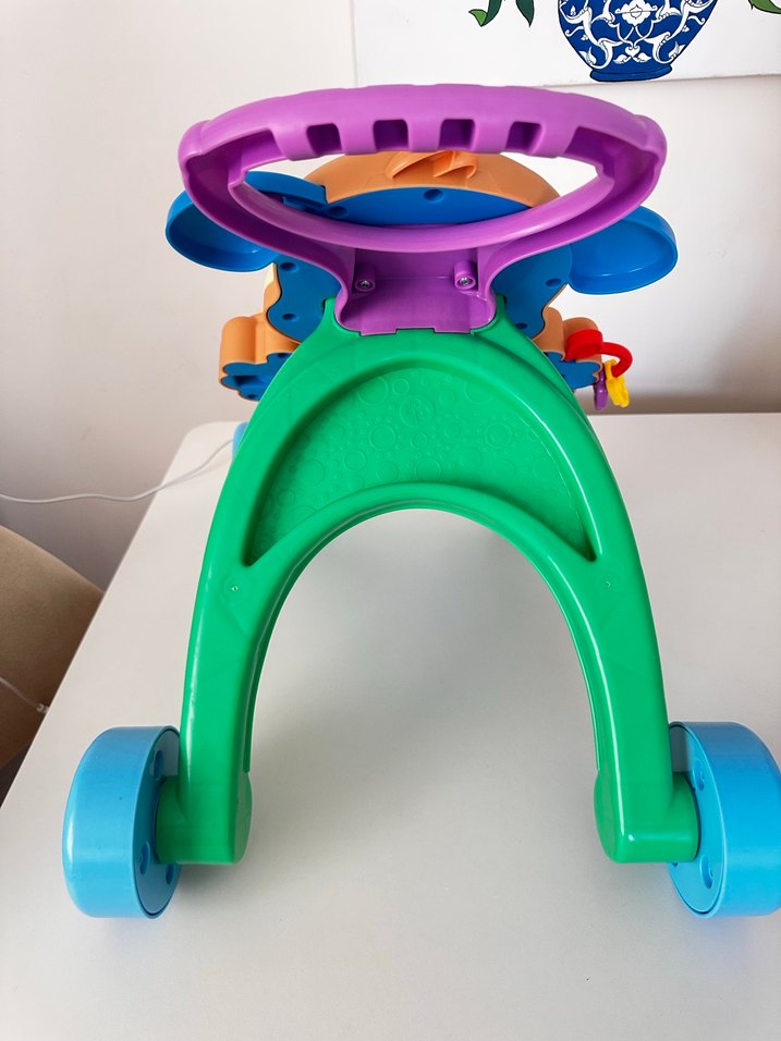 Renkli Eğitici Yürüyüş ve Aktivite Köpeği - Görsel 2