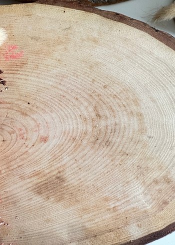 Bohem Tarzda Ahşap ve Kurutulmuş söz nişan sunumu - Görsel 5