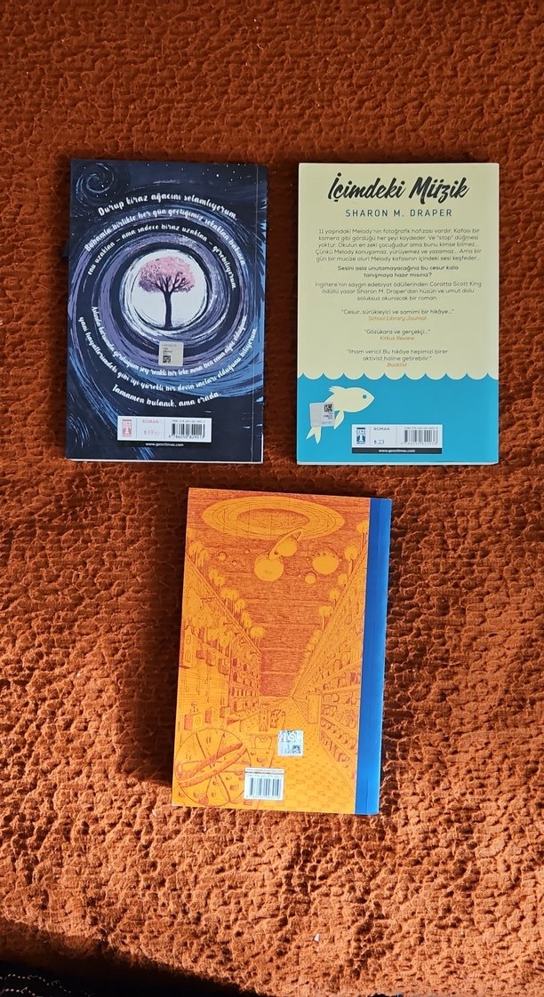 Kiraz Ağacı, İçimdeki Müzik ve Momo Romanları - Görsel 3