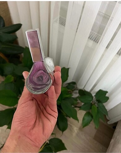 Beden CALVIN KLEIN EUPHORIA