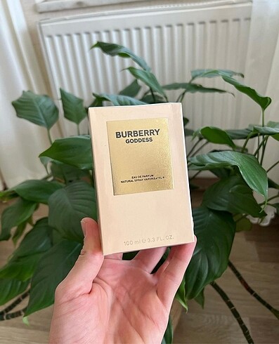 BURBERRY GODDES