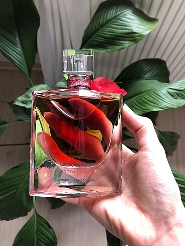 LANCOME LA VIE EST BELLA İNTENSEMENT