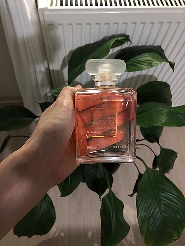 CHANEL COCO MODEMOISELLE