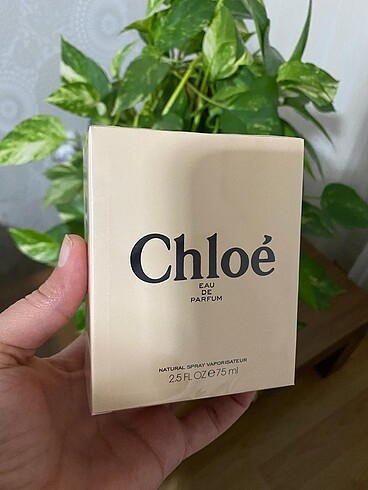 CHLOE SİGNATURE