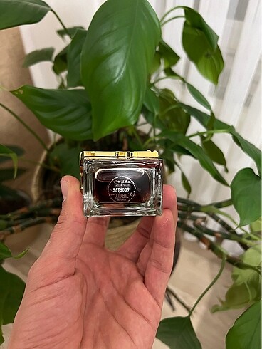 Yves Saint Laurent YVES LİBRE İNTENSE