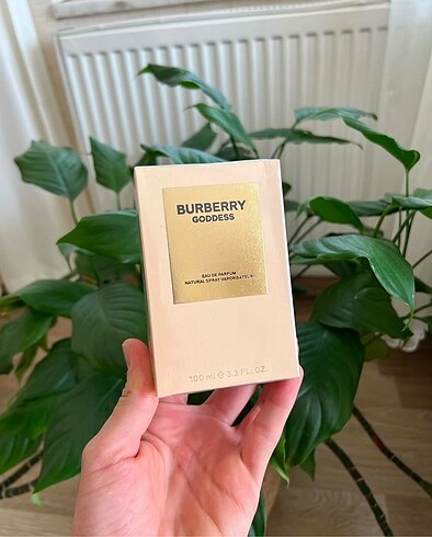 BURBERRY GODDES
