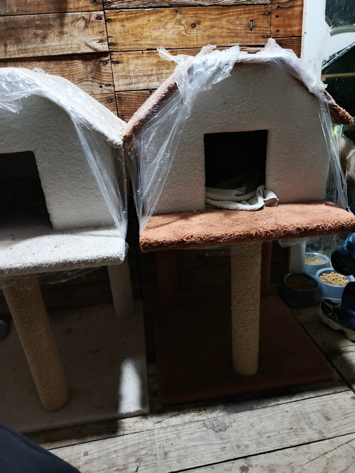 Beyaz Gri yeşil kahve 2 katlı Kedi Evi ve Tırmalama Direği - Görsel 2