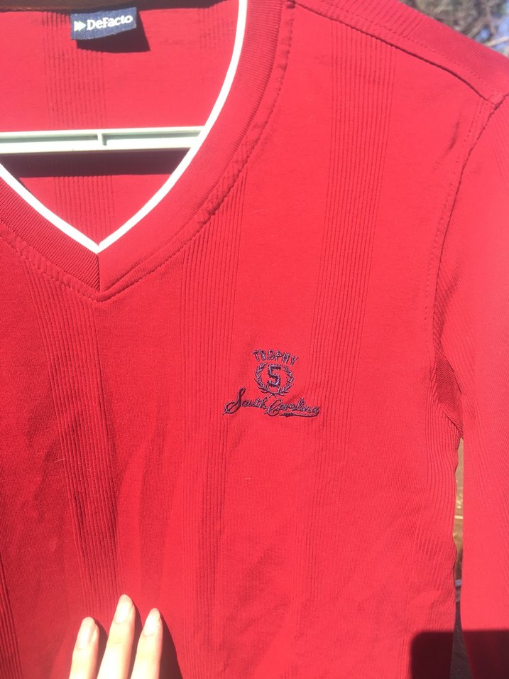 Kırmızı V Yaka Erkek Pamuk Sweatshirt - Görsel 4