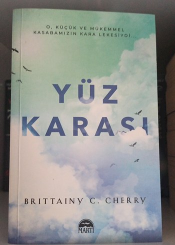 Yüz Karası - Brittainy C. Cherry