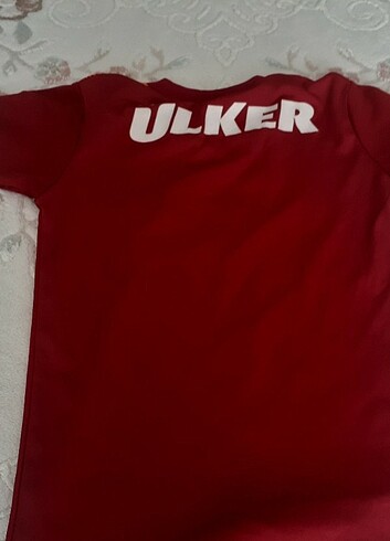 Diğer Forma