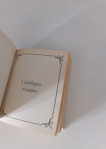Beden Mesnevi'den Cevaplar -