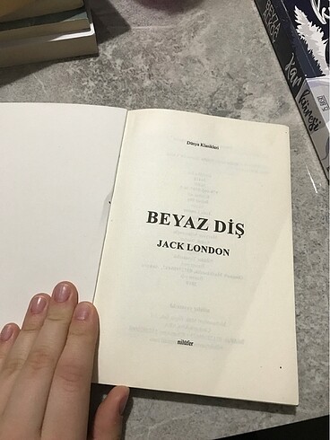  Beden Beyaz Diş