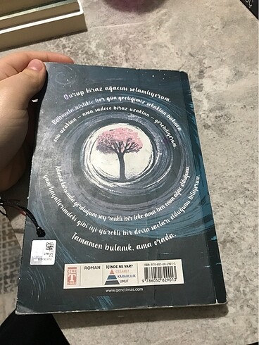  Beden Kiraz Ağacı
