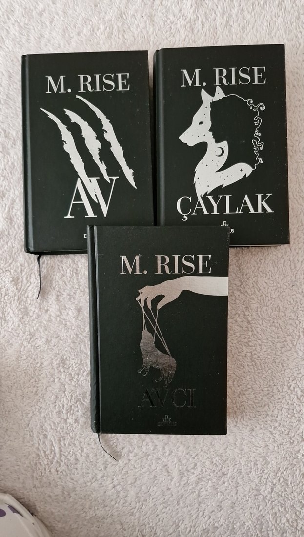 M. Rise AV SERİSİi: Avcı, Avcı, Çaylak - Görsel 2