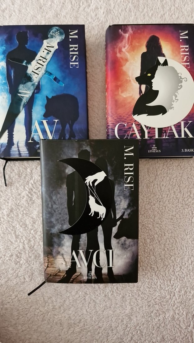 M. Rise AV SERİSİi: Avcı, Avcı, Çaylak - Görsel 3