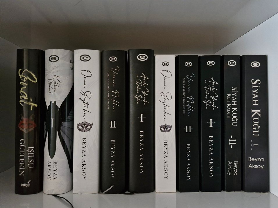 Beyza Aksoy KİTAPLARI - Görsel 2