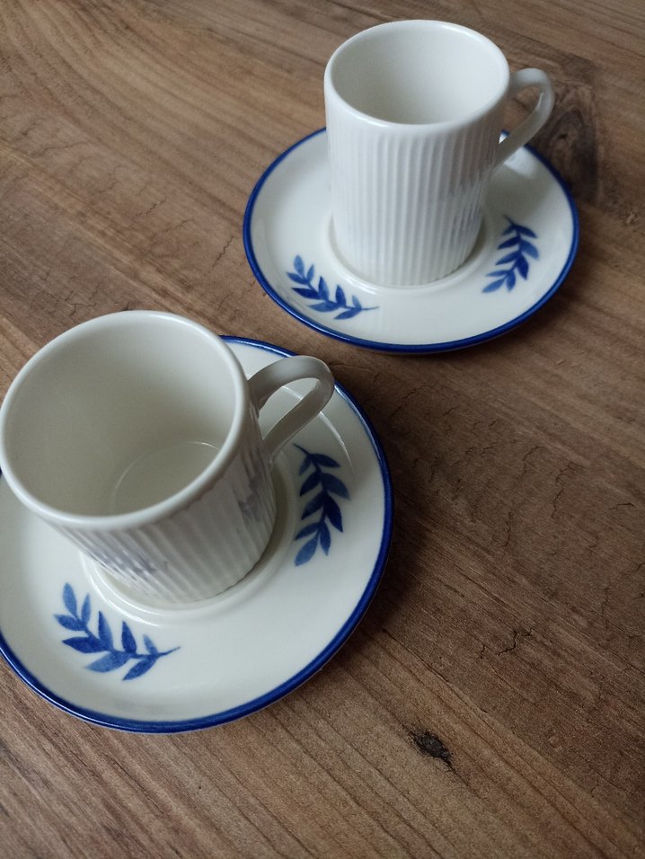 Beyaz ve Mavi Desenli 2'li Fincan Takımı - Görsel 2