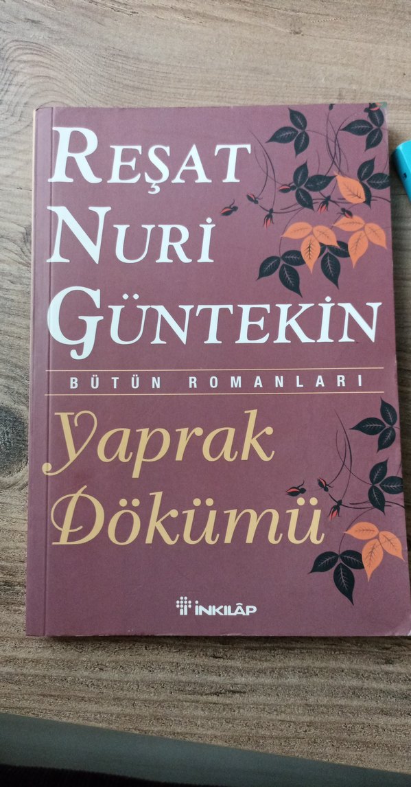 Yaprak Dökümü - Reşat Nuri Güntekin - Görsel 3