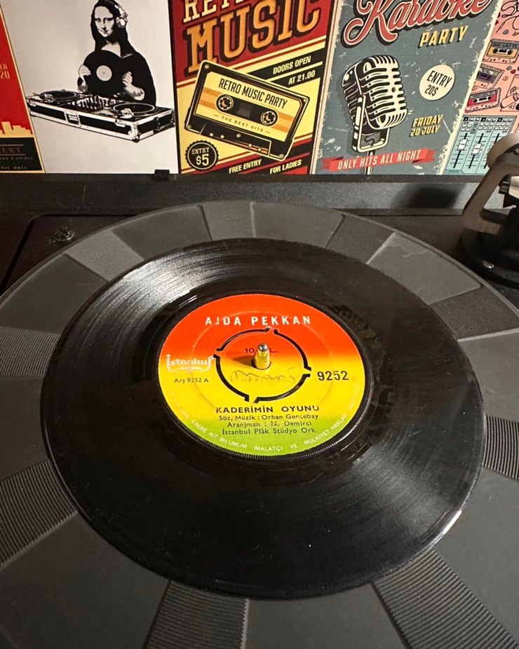 Ajda Pekkan - Kimler Geldi Kimler Geçti 45'lik Plak - Görsel 2