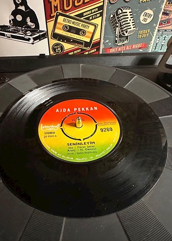 Ajda Pekkan - Palavra Palavra 45'lik Plak - Görsel 2