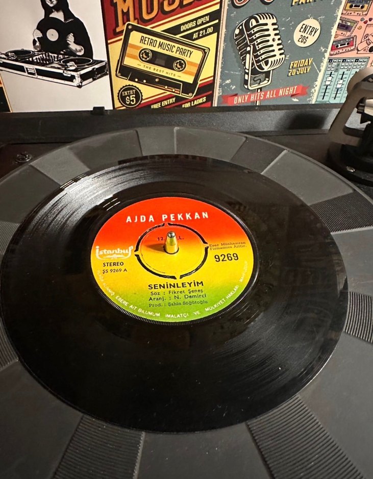 Ajda Pekkan - Palavra Palavra 45'lik Plak - Görsel 2