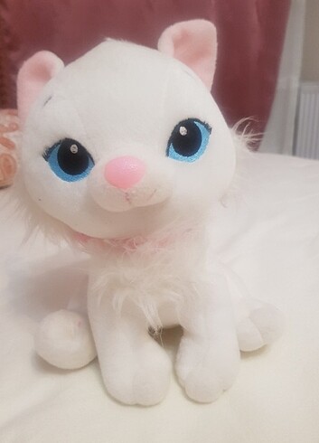 Sesli beyaz kedi
