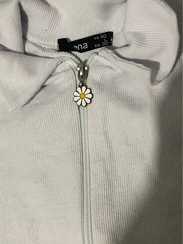 Ten Kadın crop