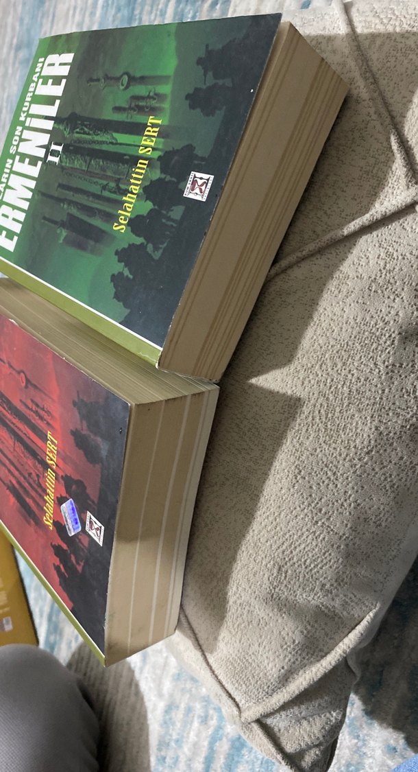 Haçlıların Son Kurbanı Ermeniler - Selahattin Sert - Görsel 2