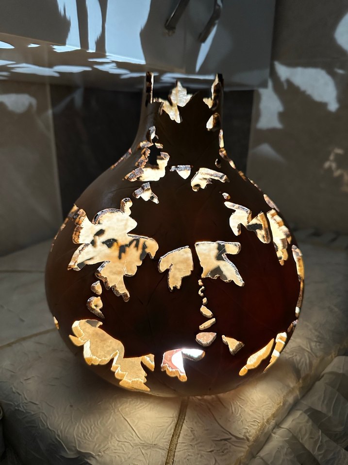 Süs Su Kabağı - Görsel 3