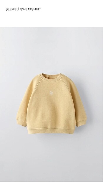 Zara Sweatshirt 9-12 ay